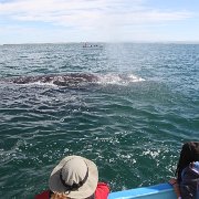 IMG 0001 2 (32)